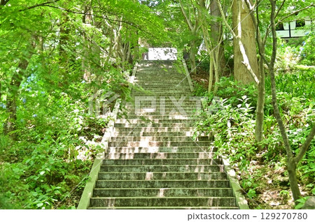 國源寺的參道兩旁綠樹成蔭 129270780
