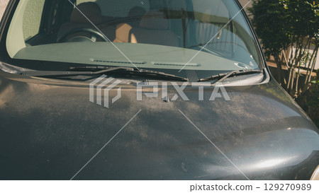 車身變色 129270989