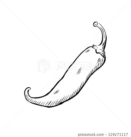 Cartoon Vector of Hand Drawn Child Pepper Character Illustration 129271117