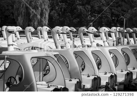 Swan boats at Shinobazu Pond in Ueno 129271398