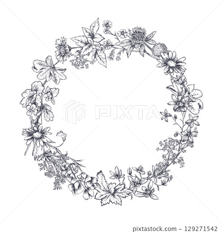 Vector wreath of meadow wildflowers, herbs, plants. Different flowers in beautiful design for wedding invitation, greeting card. Vintage style. 129271542