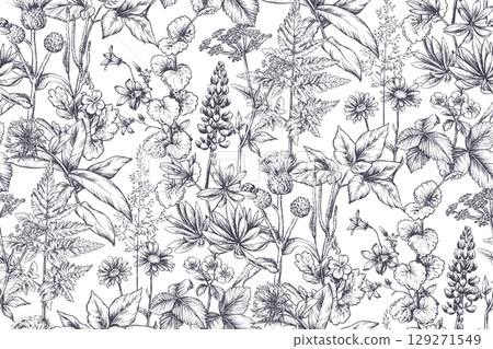 Vector seamless pattern with wildflowers, herbs. Endless floral background in vintage sketch style. Meadow plants. 129271549