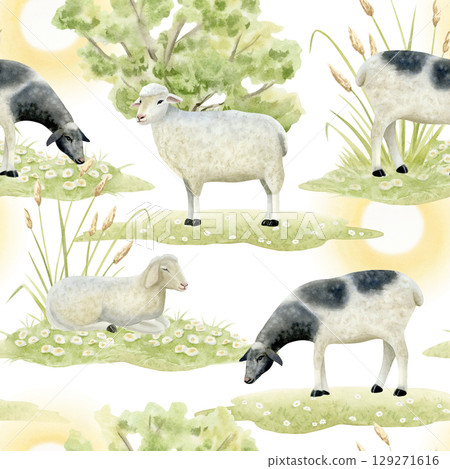 Farm sheep on green lawn watercolor seamless pattern on white. Grazing domestic animals on sunny day field. Cute village scene with lambs in pastel colors. Pastoral repeat background in simple style 129271616