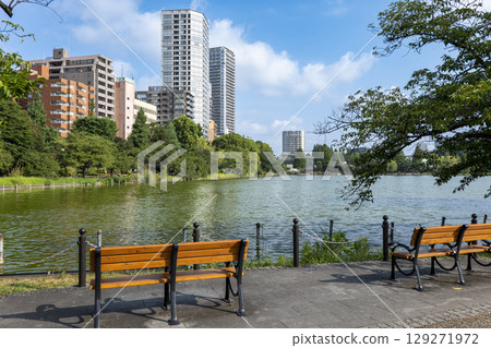 Shinobazu Pond in Ueno Park in summer 129271972