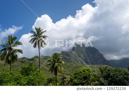 Mount Temetiu near Atuona, Hiva Oa, French Polynesia, Marquesas Islands 129272230