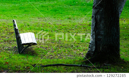 A scene of a somewhat lonely bench in an autumn park 129272285