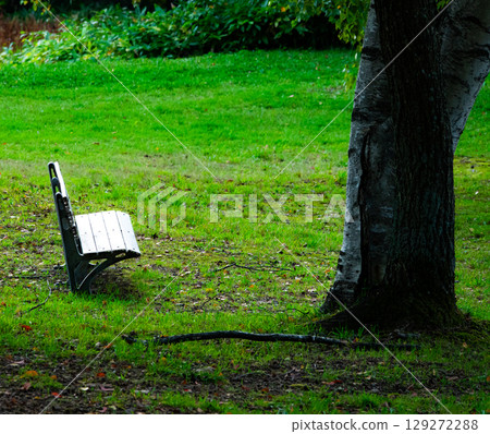 A scene of a somewhat lonely bench in an autumn park 129272288