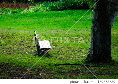 A scene of a somewhat lonely bench in an autumn park 129272289