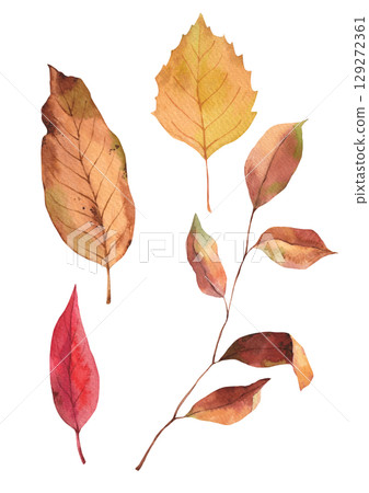 Autumn plant watercolor illustration. Autumn plant watercolor illustration. 129272361