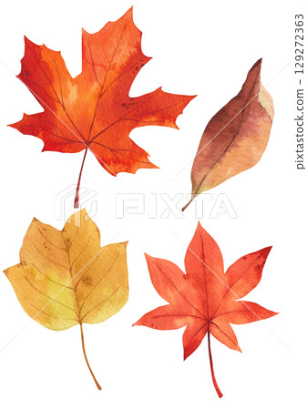 Autumn plant watercolor illustration. 129272363