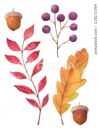 Autumn plant watercolor illustration. Autumn plant watercolor illustration. 129272364