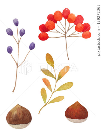 Autumn plant watercolor illustration. Autumn plant watercolor illustration. 129272365