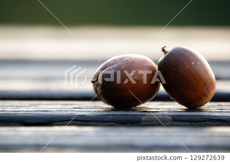 Two acorns found on a bench in an autumn park 129272639