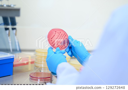 Laboratory workers hold culture plates with bacteria or viruses growing on media in experiment glasses. Laboratory and Medical concepts. Laboratory workers hold culture plates with bacteria or viruses growing on media in experiment glasses. Laboratory and Medical concepts. 129272648