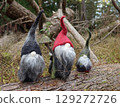 Tomte on a fallen tree 129272726