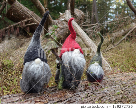 Tomte on a fallen tree Tomte on a fallen tree 129272726