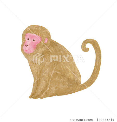 側坐的猴子 側坐的猴子 129273215