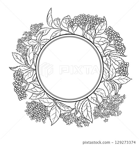 Elderberries Branch Outline Round Frame. Elderberries Branch Outline Round Frame. 129273374