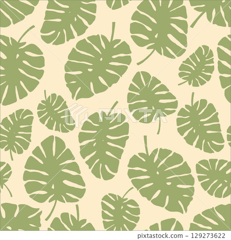 Minimalist Green Monstera Leaves Tropical Background Minimalist Green Monstera Leaves Tropical Background 129273622