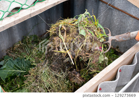 Home Gardening: Turning Compost with Trowel Home Gardening: Turning Compost with Trowel 129273669