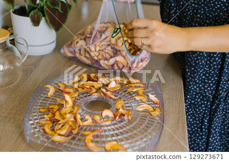 Woman Preparing Dried Apple Slices on a Dehydrator Tray 129273671