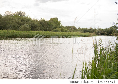 Serene river with lush green trees and grasses on a cloudy day in nature 129273751