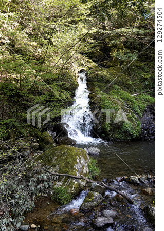 Spring water flows down the mountainside as a small waterfall 129274504