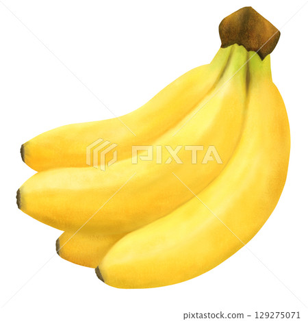 Illustration of a bunch of bananas Illustration of a bunch of bananas 129275071