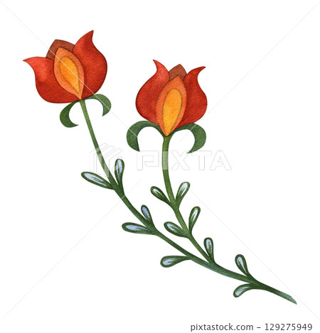 Watercolor illustration of flowers, Slavic Russian floral art. Hand drawn isolated on white background. Drawing for printing on invitation cards Watercolor illustration of flowers, Slavic Russian floral art. Hand drawn isolated on white background. Drawing for printing on invitation cards 129275949