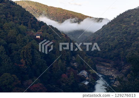 First rays of morning light reach forested valley of Arashiyama in Kyoto, Japan First rays of morning light reach forested valley of Arashiyama in Kyoto, Japan 129276013