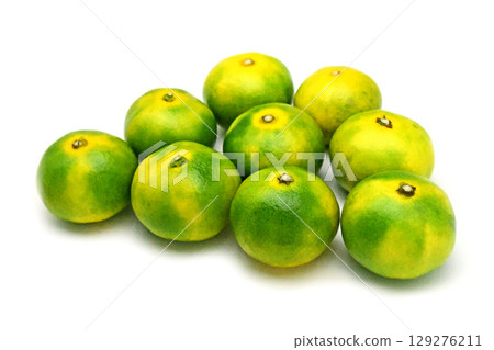 Mandarin orange (Ninan No. 1) Mandarin orange (Ninan No. 1) 129276211