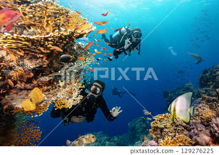 Scuba Diver Swimming in Deep Sea with Sunrays and Beautiful Coral Reef with Colorful Fishes Scuba Diver Swimming in Deep Sea with Sunrays and Beautiful Coral Reef with Colorful Fishes 129276225