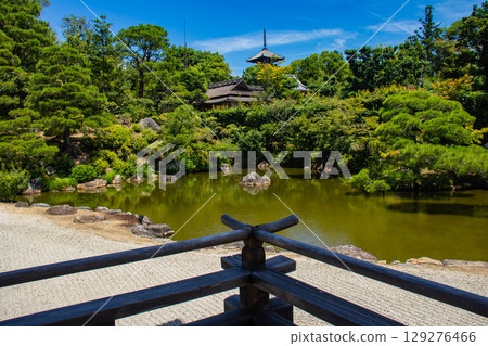 【京都風光】仁和寺：池塘上的五重塔和優雅的花園 129276466