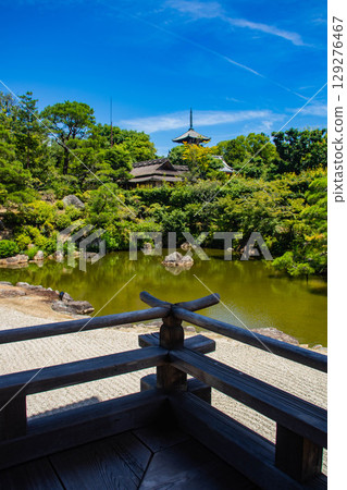[Kyoto Scenery] Ninna-ji Temple: Five-story pagoda over a pond and elegant garden 129276467