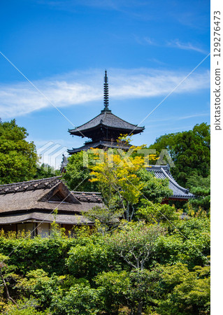 [Kyoto Scenery] Ninna-ji Temple: Five-story pagoda over a pond and elegant garden 129276473