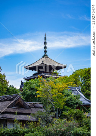 [Kyoto Scenery] Ninna-ji Temple: Five-story pagoda over a pond and elegant garden 129276474