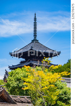 [Kyoto Scenery] Ninna-ji Temple: Five-story pagoda over a pond and elegant garden 129276475