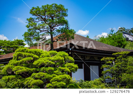 [Kyoto Scenery] Ninna-ji Temple: Five-story pagoda over a pond and elegant garden 129276476