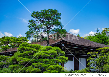 [Kyoto Scenery] Ninna-ji Temple: Five-story pagoda over a pond and elegant garden 129276477