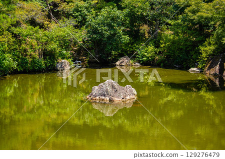 【京都風光】仁和寺:池塘上的五重塔和優雅的花園 【京都風光】仁和寺:池塘上的五重塔和優雅的花園 129276479