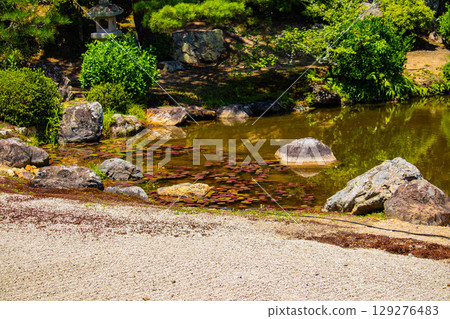 [Kyoto Scenery] Ninna-ji Temple: Five-story pagoda over a pond and elegant garden 129276483