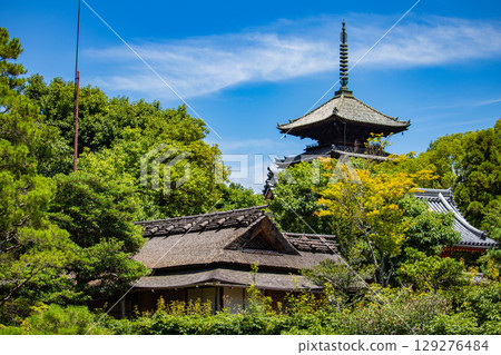 【京都風光】仁和寺:池塘上的五重塔和優雅的花園 【京都風光】仁和寺:池塘上的五重塔和優雅的花園 129276484