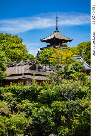 【京都風光】仁和寺：池塘上的五重塔和優雅的花園 129276485
