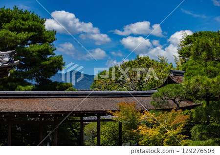 [Kyoto Scenery] Ninna-ji Temple: Five-story pagoda over a pond and elegant garden 129276503