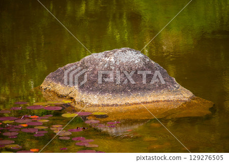 [Kyoto Scenery] Ninna-ji Temple: Five-story pagoda over a pond and elegant garden 129276505