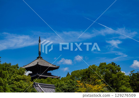 【京都風光】仁和寺：池塘上的五重塔和優雅的花園 129276509
