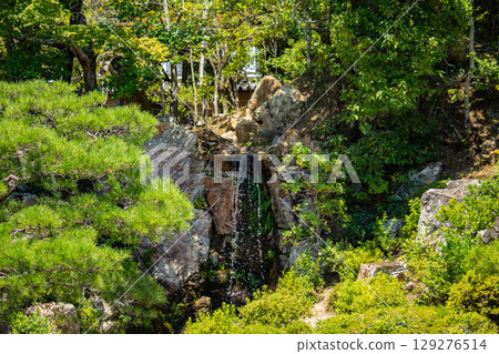 [Kyoto Scenery] Ninna-ji Temple: Five-story pagoda over a pond and elegant garden 129276514