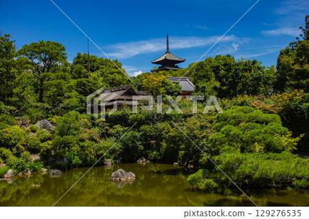 【京都風光】仁和寺:池塘上的五重塔和優雅的花園 【京都風光】仁和寺:池塘上的五重塔和優雅的花園 129276535