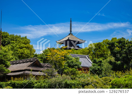 【京都風光】仁和寺:池塘上的五重塔和優雅的花園 【京都風光】仁和寺:池塘上的五重塔和優雅的花園 129276537