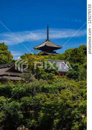 【京都風光】仁和寺:池塘上的五重塔和優雅的花園 【京都風光】仁和寺:池塘上的五重塔和優雅的花園 129276538
